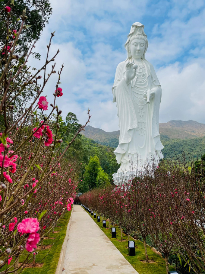 慈山寺圖片