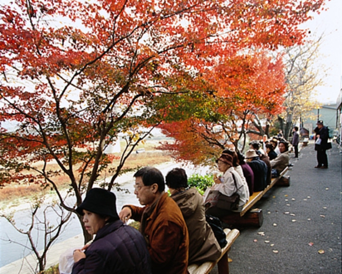 日本各地区的枫叶最佳观赏时节推迟约半个月。资料图片