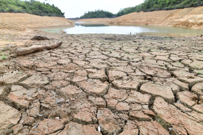 石梨貝水塘泥土經過連日曝曬龜裂。