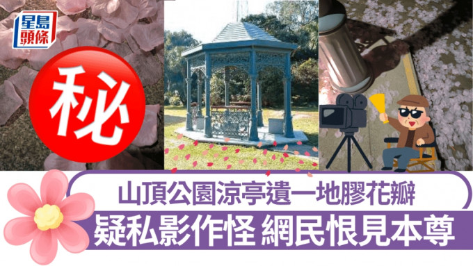 山頂公園涼亭粉紅色浪漫 遺一地膠花瓣 網民疑私影作怪