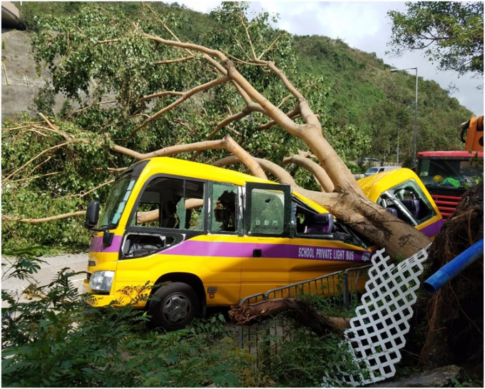 大树塌下压毁保母车。杨伟亨摄