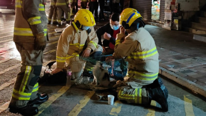 深水埗店鋪起火冒煙 消防撲熄救出小貓。