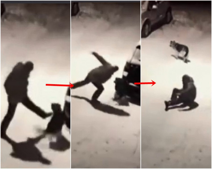 男子无端突起飞脚向狗狗踢去，却自己失重心跌倒。网图