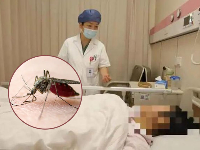 杭州38周孕婦被蚊叮抓癢後感染丹毒，差點危及胎兒。
