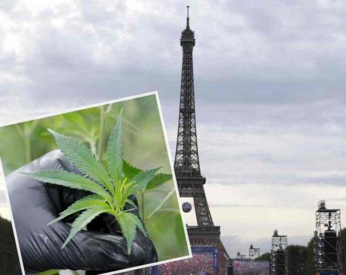 法國將在全國打擊濫藥和違例吸食大麻者。AP