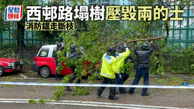 颱風蘇拉‧深水埗︱西邨路塌樹毀兩的士 消防鋸走斷枝