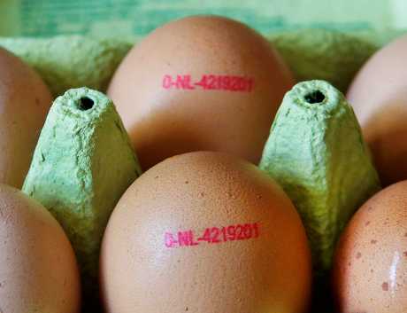 遭污染的荷兰毒鸡蛋约有70万颗流入英国。AP