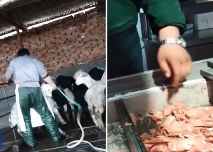 内地媒体继续揭发羊肉行业涉灌水肉甚至伪冒肉的不良行销手法。网上影片截图
