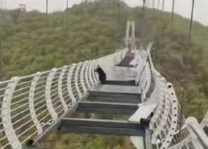 吉林延边一处点玻璃吊桥被强风吹破，桥上游客受困获救。网图