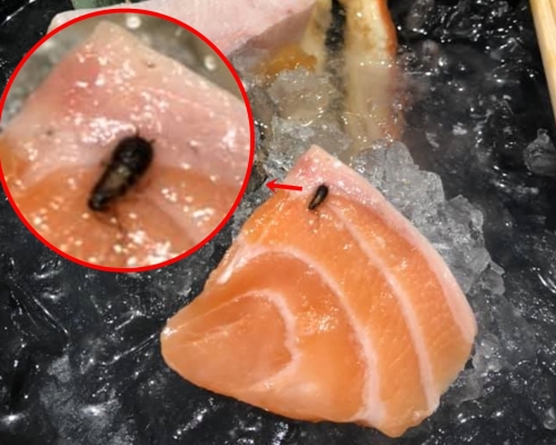 網民進食三文魚刺身時驚見蟑螂。FB群組「中伏飲食報料區」圖片