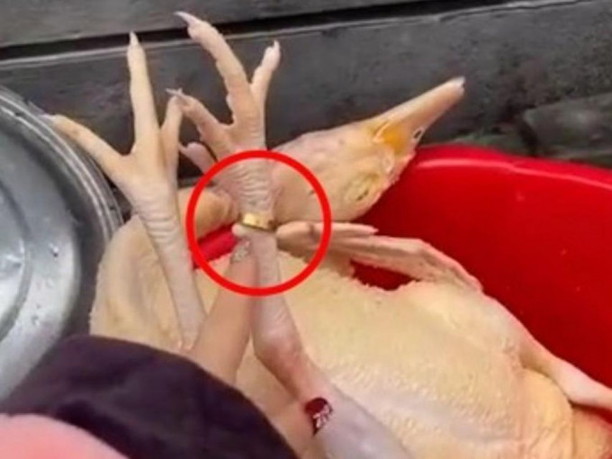 浙江女子過年劏雞找到母親丟失多年金戒指。