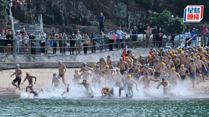 元旦冬泳拯溺锦标大赛今日在浅水湾举行。陈极彰摄