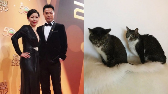 黎芷珊与张达伦再见亦是朋友，两人早前一同送别爱猫。