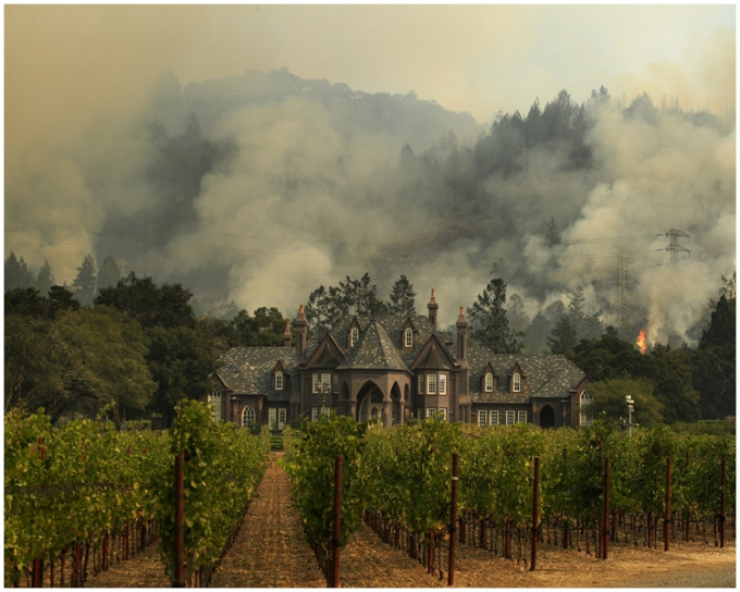 美国加州北部酒乡山火已焚烧了一星期。AP图片