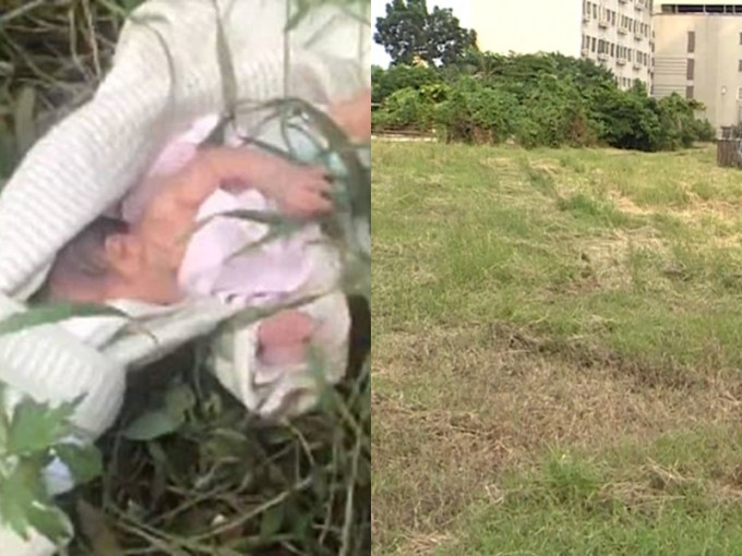 台湾情侣，将自己的初生婴儿抛弃在草地里面自生自灭。网图/示意图