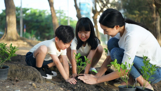 美心 MX 将安排「童心饭堂」的会员参与植树活动，亲亲大自然。