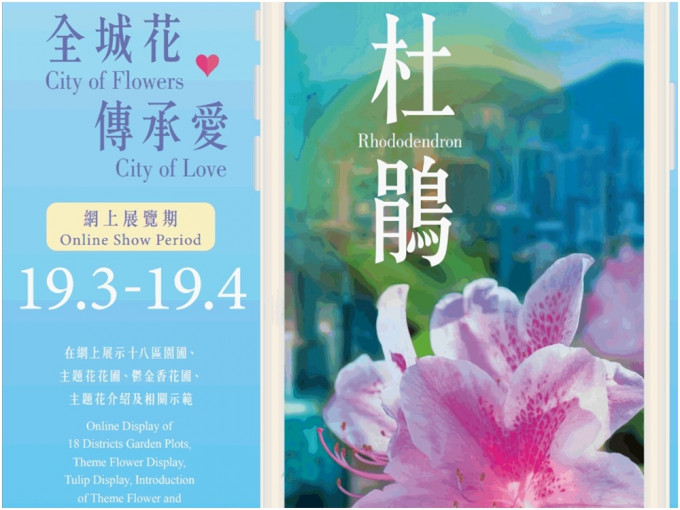 今年的香港花卉展览以杜鹃花为主题花。