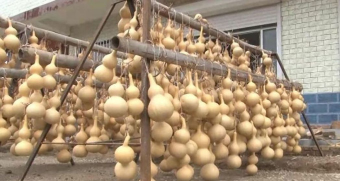 目前路莊村有葫蘆加工作坊200多個，佔據全國葫蘆產銷量的80%。網上圖片