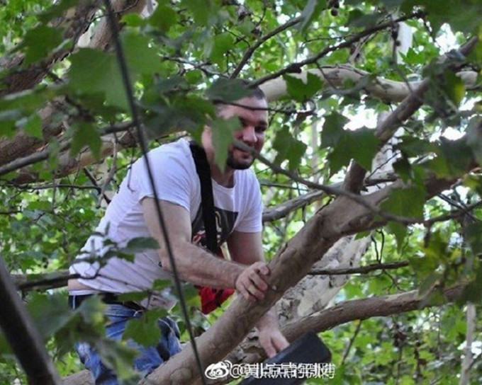 外籍男子爬树翻入围栏。网图