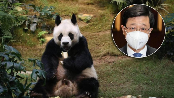 特首李家超發帖悼念大熊貓安安。資料圖片