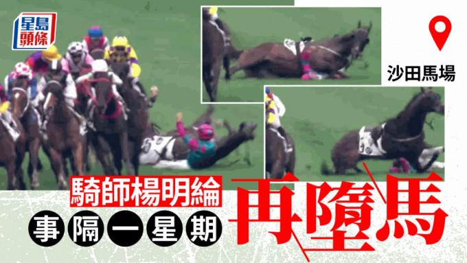 沙田马场骑师杨明纶事隔一星期再堕马 疑被座骑压中身体。赢跑赛马台YouTube