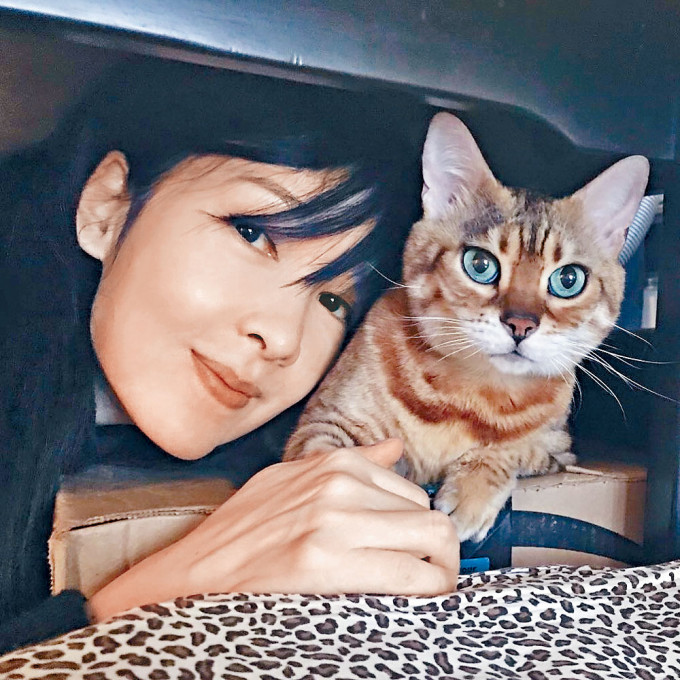 Vivian分享与爱猫Cardi的最后一张合照。