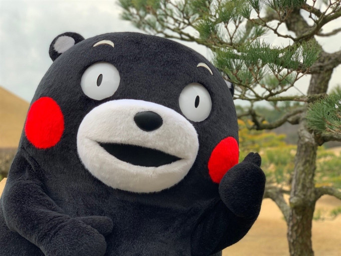 熊本县知名可爱吉祥物的「熊本熊」。twitter