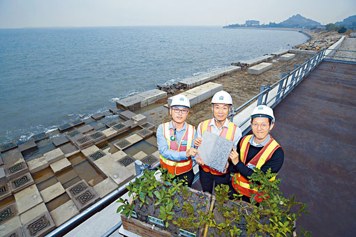 ■政府現於東涌進行填海工程，並會於東涌全新海岸設立香港首條生態海岸。