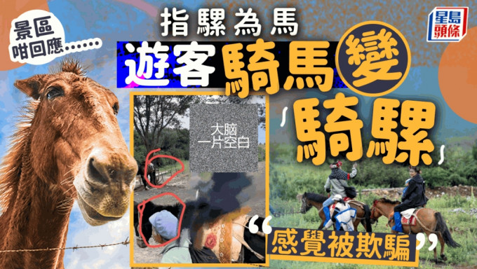 指「騾」為馬︱遊客雲南花168元騎馬遊變騎騾感被騙 景區稱「騾子也屬於馬」