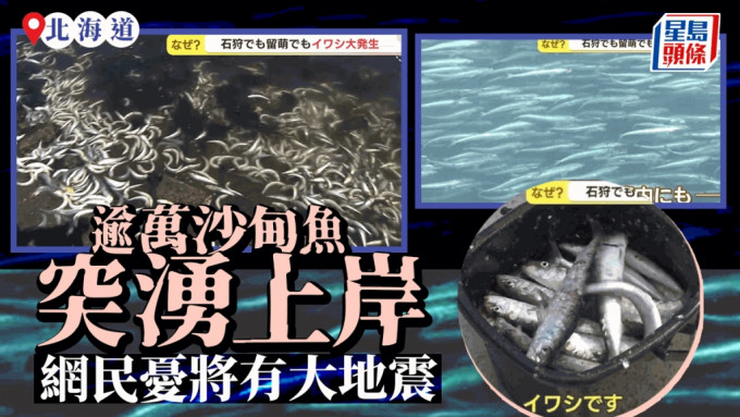 北海道石狩灣新港海岸近日湧現驚人數量的沙甸魚。網上圖片