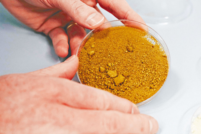 经过烘焙的芬兰VTT实验室植物细胞培育咖啡。
