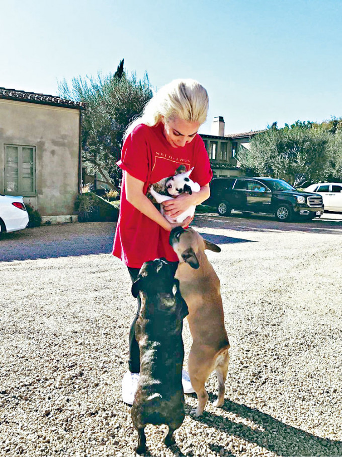 Gaga寻回两只爱犬之后，会守承诺发50万美元悬红赏金。