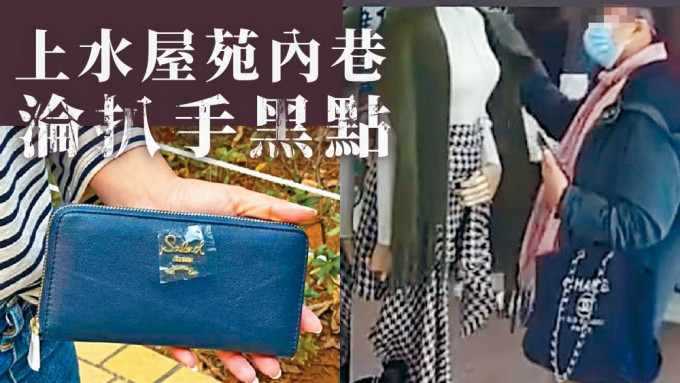 何女士家人早前亦在龍豐花園被偷走銀包(左圖)；一名女小偷(右圖)假扮客人偷走一條綠色披肩。北區媒體-邊境Facebook圖片