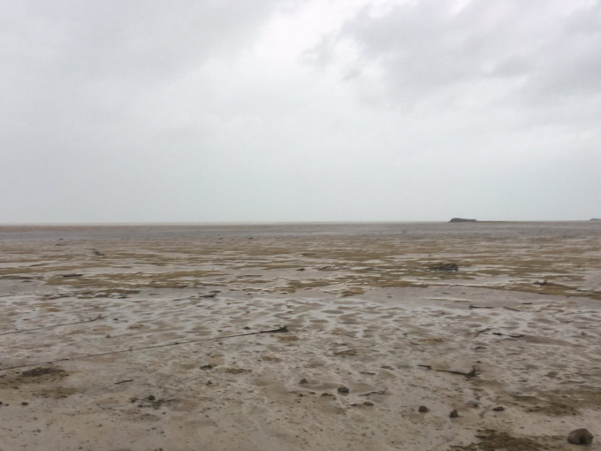 海湾变成泥滩。网上图片
