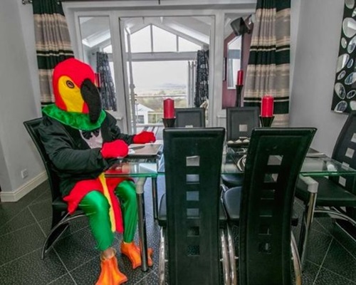 男子打扮成一只彩色鹦鹉在大屋拍照。网图