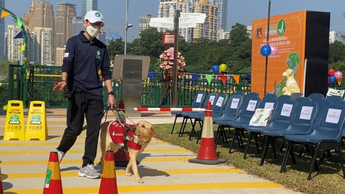 导盲犬示范协助视障人士过马路。