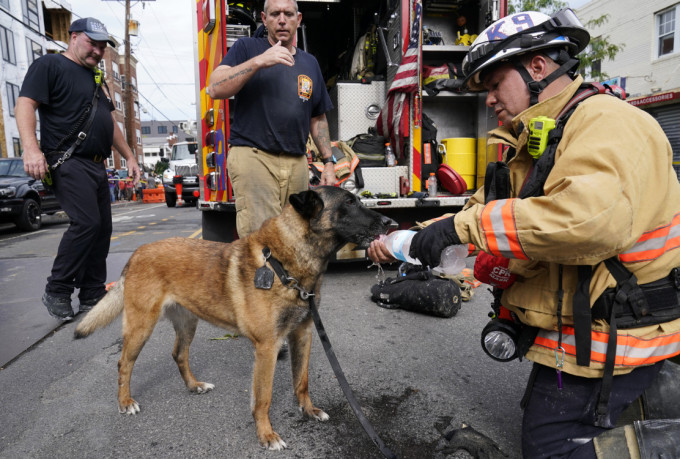 消防队出动搜救犬找寻有否工人被埋。AP图片