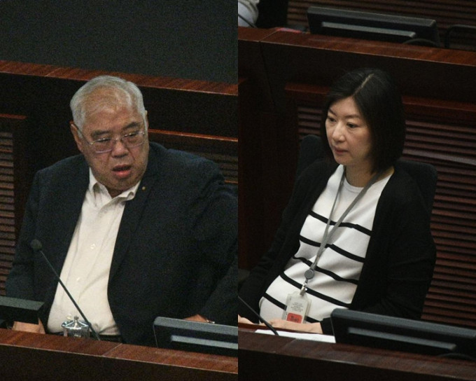 民建联黄定光(左)和新民党容海恩(右)，先后当选为主席和副主席。