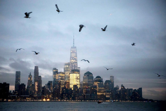 全美平均每年有大約6億隻雀鳥，在飛行時撞向摩天大樓身亡。   示意圖