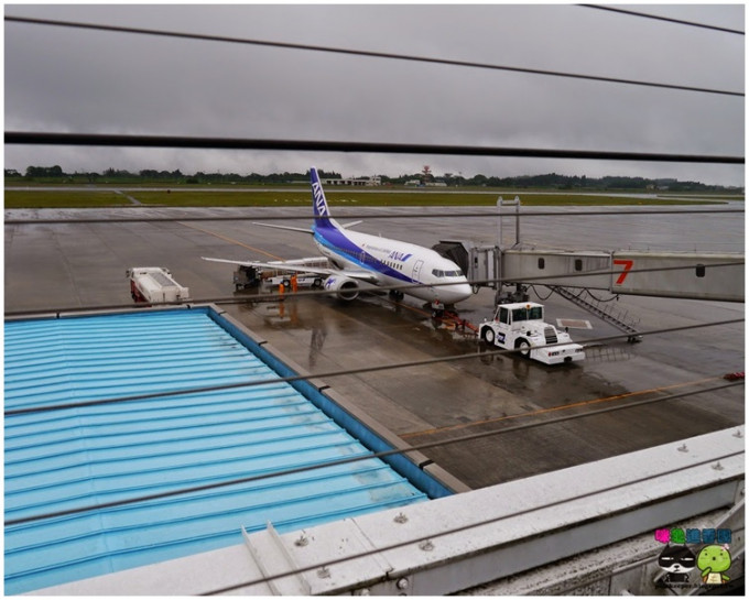 日本鹿儿岛机场。网上图片