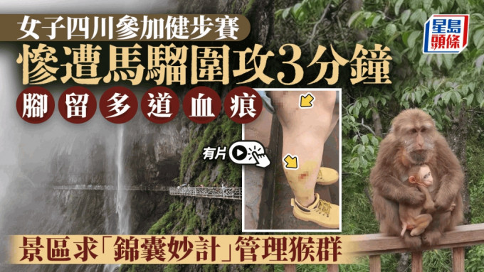 劉女士被猴群襲擊至腿上有多處傷痕。（微博）