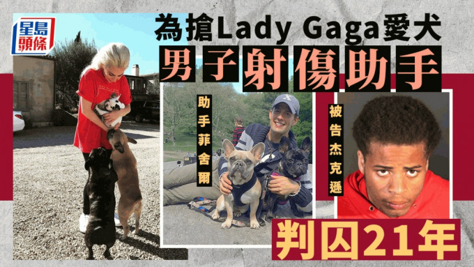 Lady Gaga 爱犬被抢案，涉案开枪男子被重判入狱 21 年。网图/AP