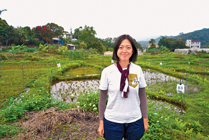藝術家方韻芝踏入稻田，與「大地予我」團隊栽培出新的本地絲苗，共同譜寫香港稻米的歷史。