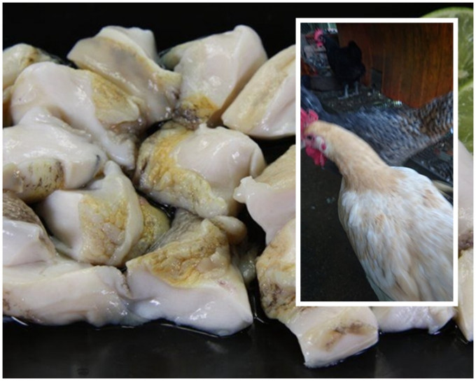 花400港元买的生鲍鱼被拿了去喂鸡。网图