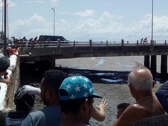 目擊者表示，該名母親將嬰兒從36米高的橋上拋落河。 網圖