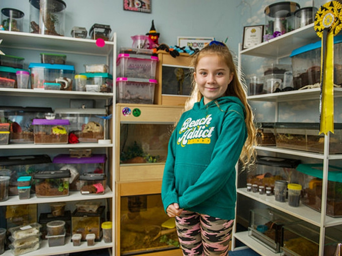 英國一名8歲女童花了500英鎊，在睡房打造一個「迷你動物園」，飼養狼蛛及蛇等。網圖