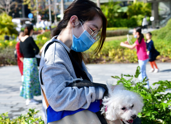 陈肇始吁宠物主人注意个人卫生。 资料图片