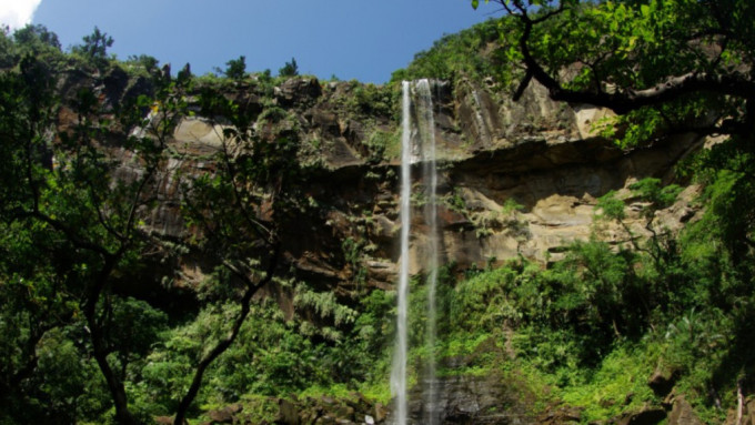 西表岛知名景观「Pinaisara瀑布」 。竹富町観光协会