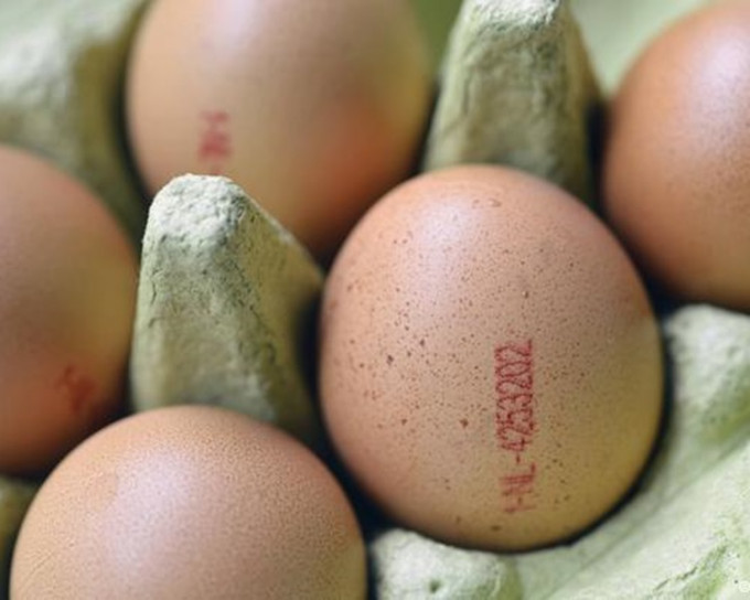 荷蘭受污染的雞蛋可能已流入英國和法國。