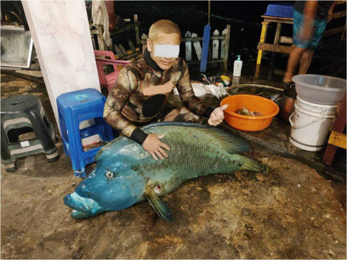 台東2男疑獵殺瀕臨絕種的「龍王鯛」，並放上網炫耀。網圖